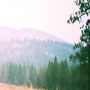 The Retrocausal Manifesto