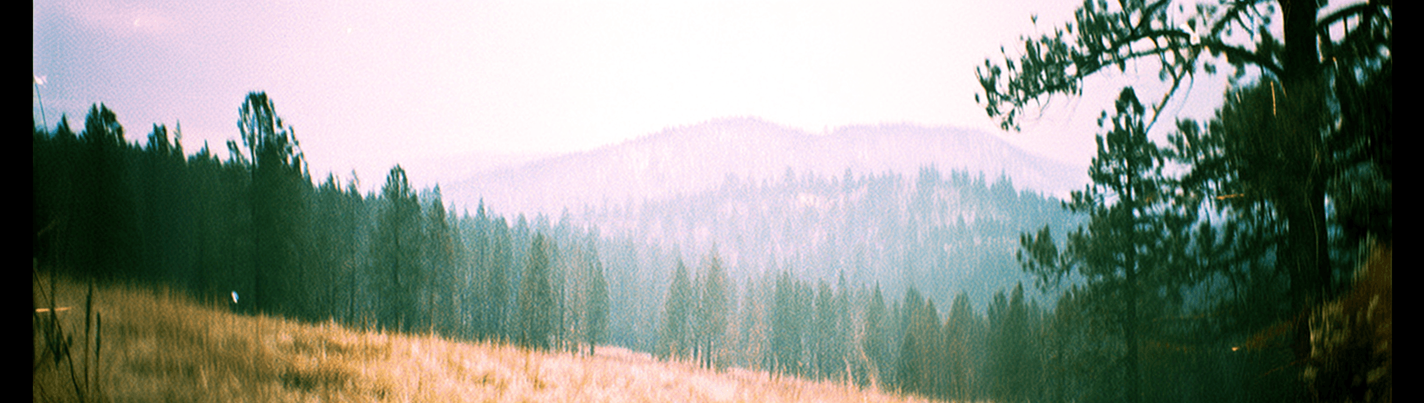 The Retrocausal Manifesto